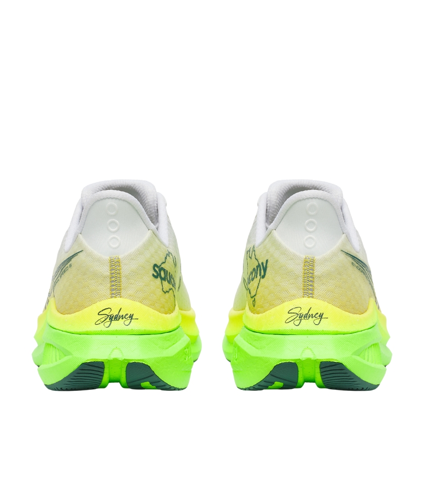 Shoes Endorphin Speed 5