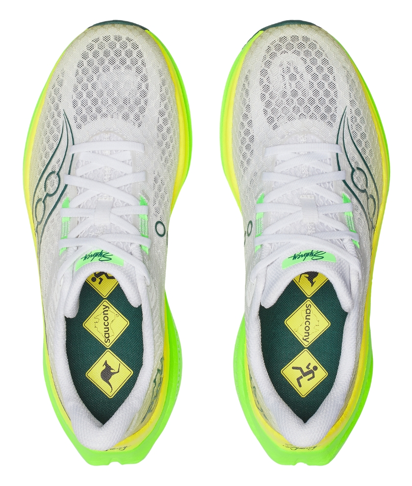 Shoes Endorphin Speed 5