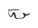 Flight Jacket Gray Ink/Clear Black Iridium Photochromic