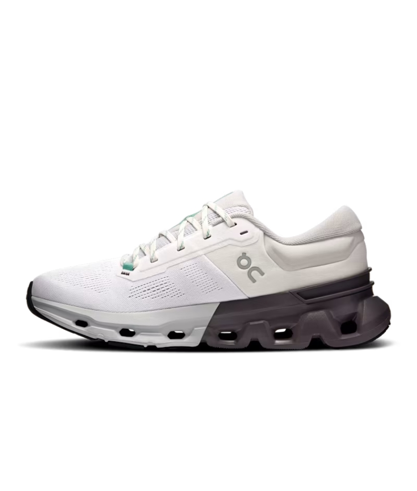 Shoes Cloudflyer 5 Men