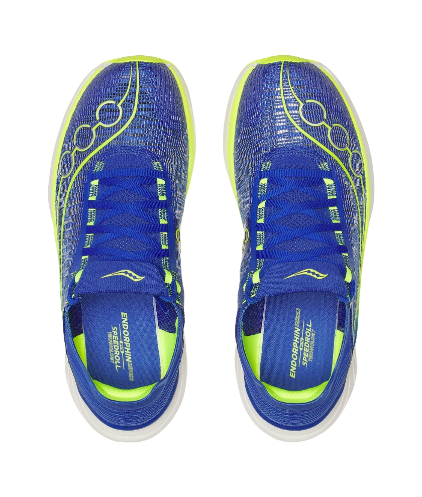 Shoes Endorphin Elite 2