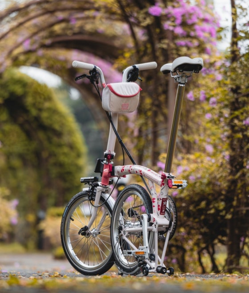 C-Line Cherry Blossom V2 M6L/mSPD/rCB/FCB/BAT3/CSVW/CHB/MY25