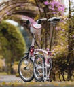 C-Line Cherry Blossom V2 M6L/mSPD/rCB/FCB/BAT3/CSVW/CHB/MY25