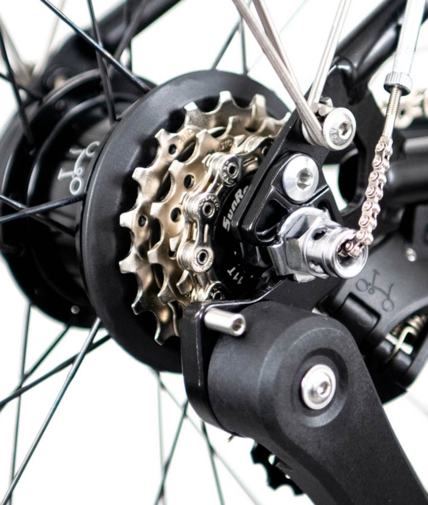 C-Line M12L/mOB/rOB/FCB/50TR7/BCL/MY25