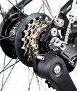 C-Line M12L/mOB/rOB/FCB/50TR7/BCL/MY25