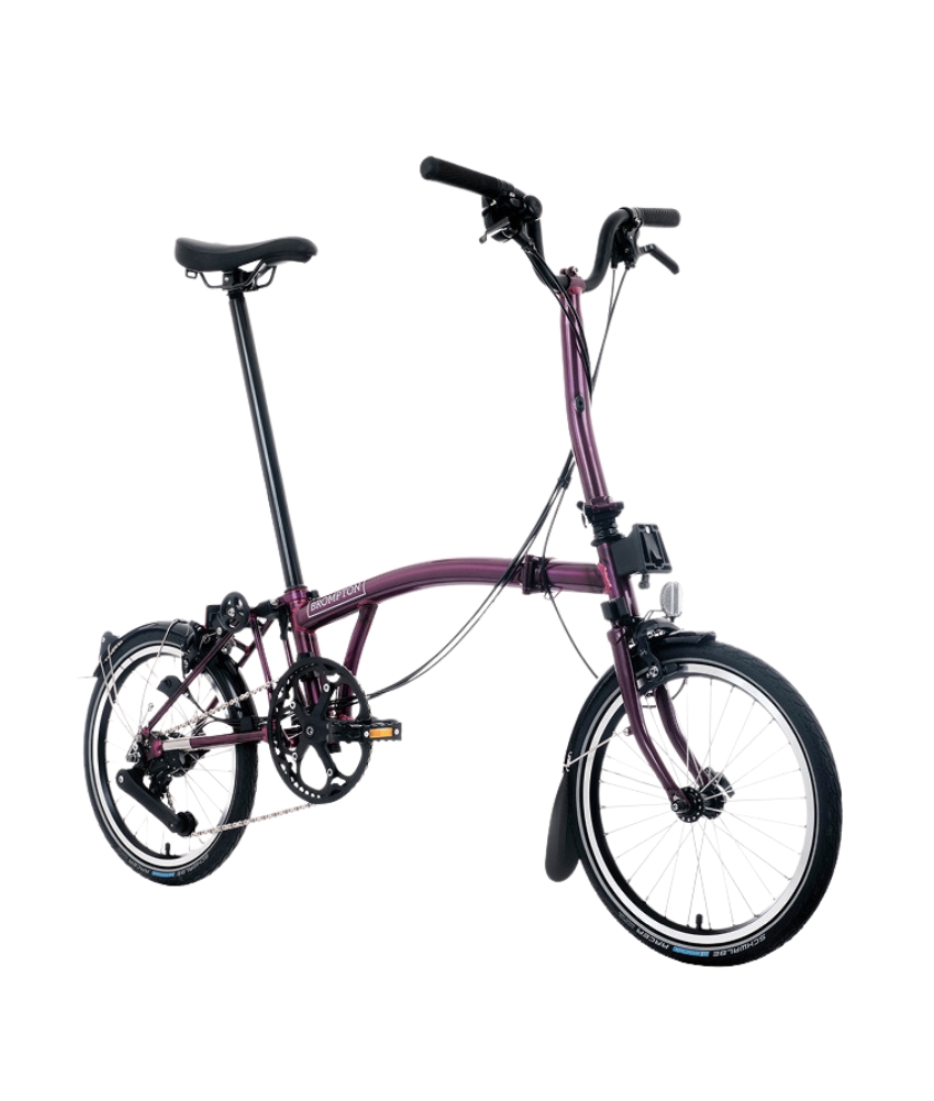 C-Line M12L/mAL/rAL/FCB/50TR7/BCL/MY25