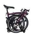 C-Line M12L/mAL/rAL/FCB/50TR7/BCL/MY25
