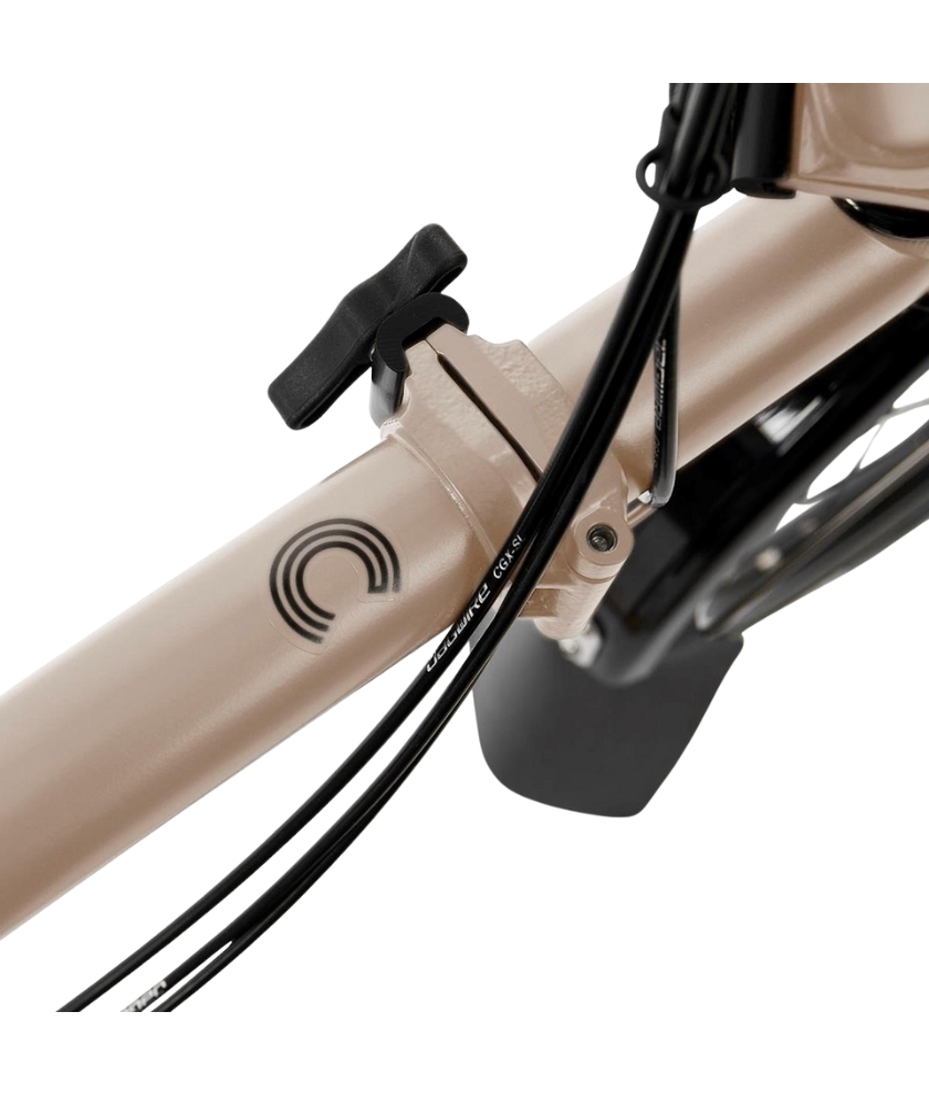 C-Line M12L/mDS/rDS/FCB/50TR7/BCL/MY25