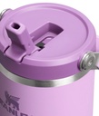 The IceFlow Flip Straw 2.0 Tumbler 30 OZ