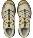 Shoes XT-6