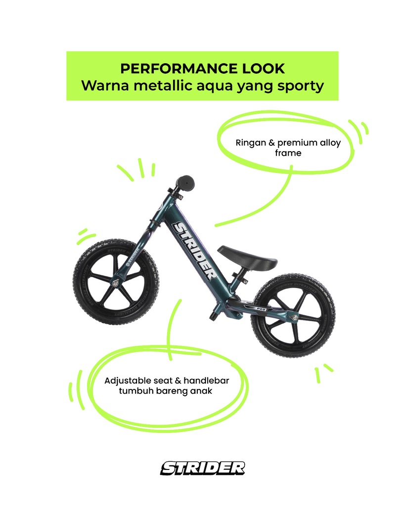 12 Pro Metallic + Raincoat M