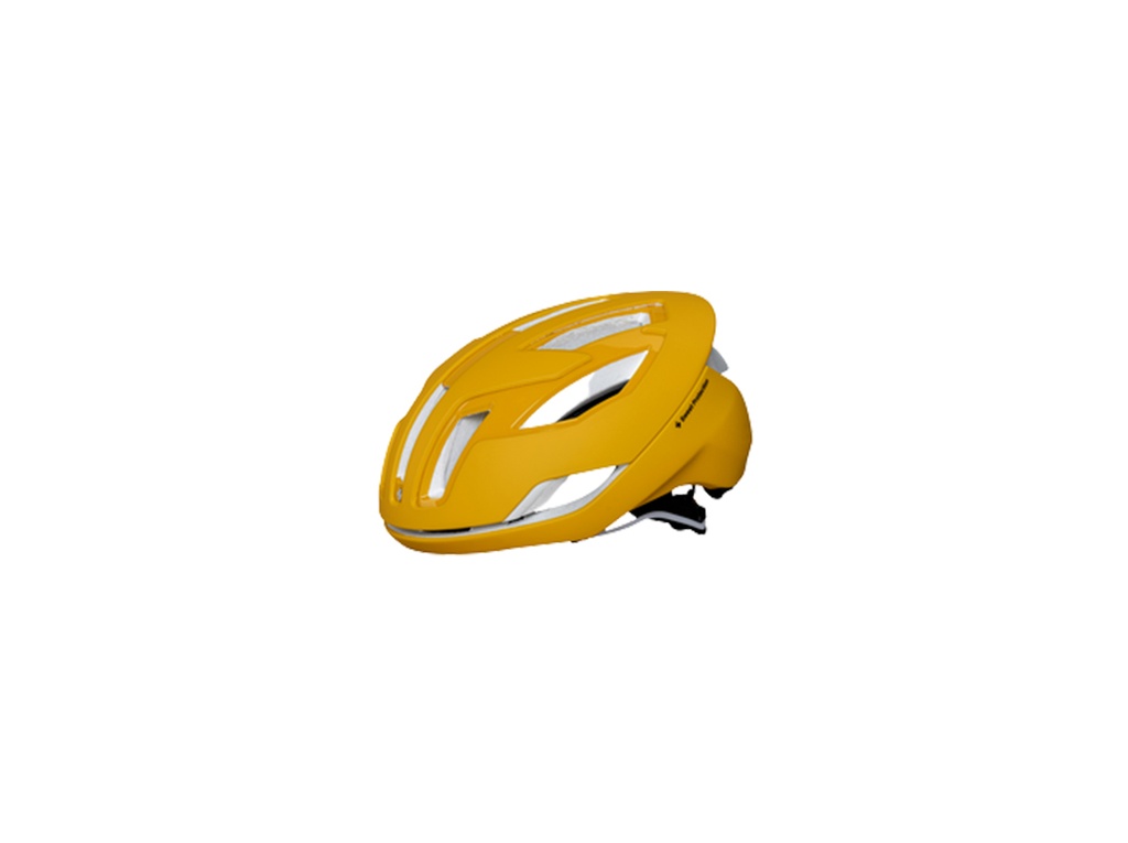 Falconer II Helmet