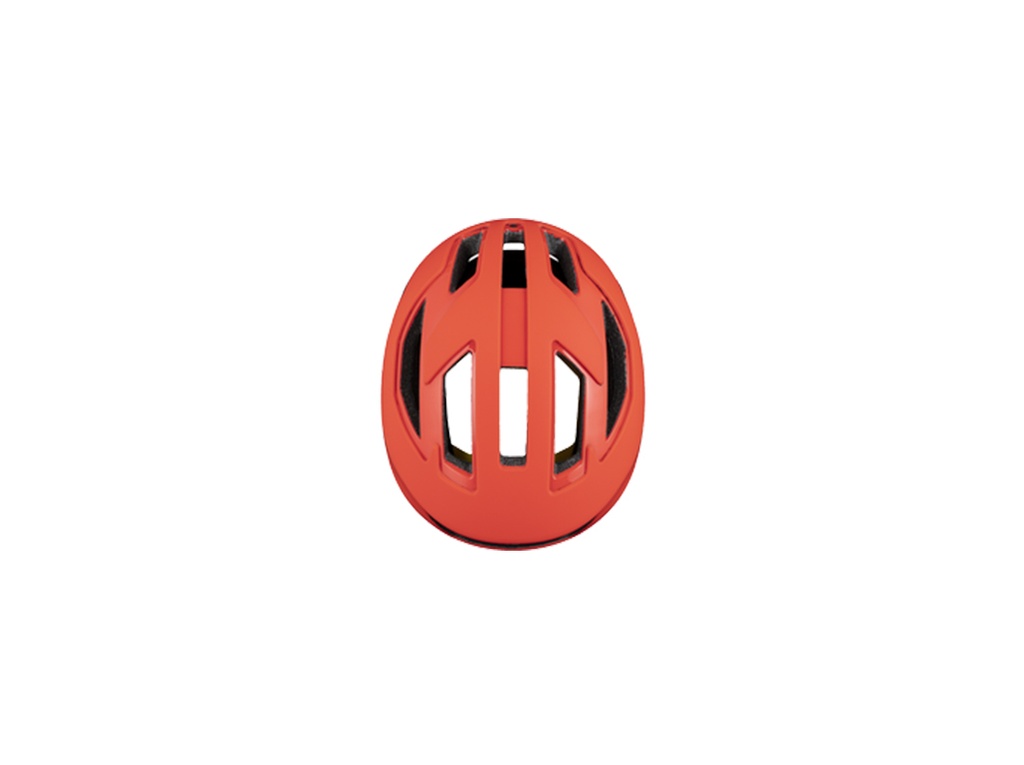 Falconer II Helmet