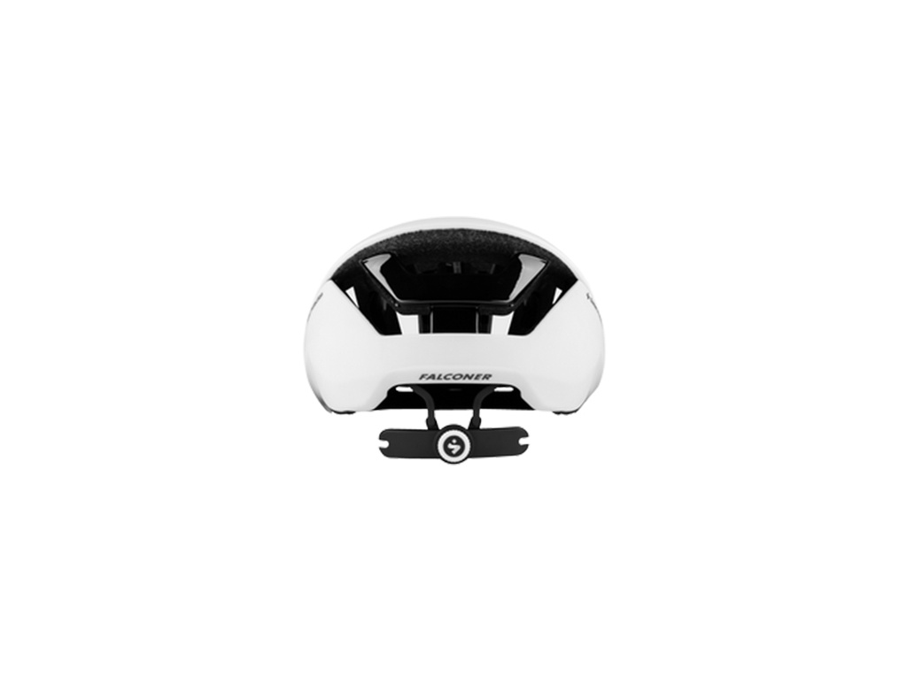 Falconer II Helmet