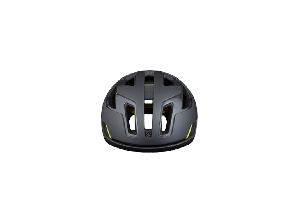 Falconer II Helmet