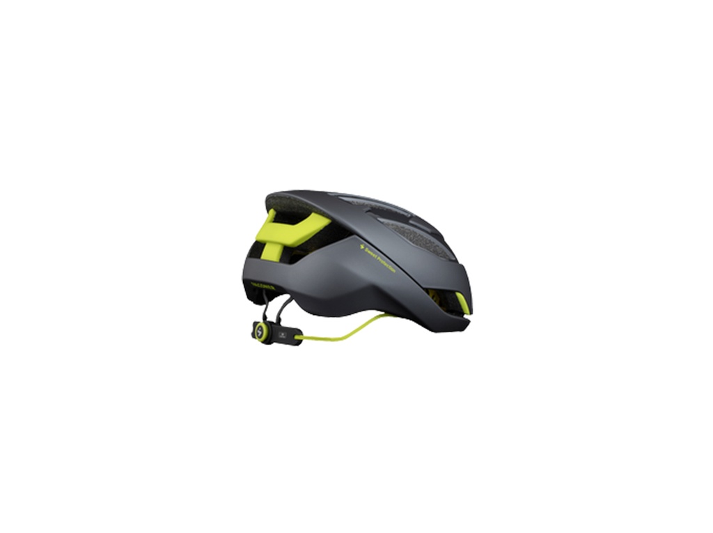 Falconer II Helmet