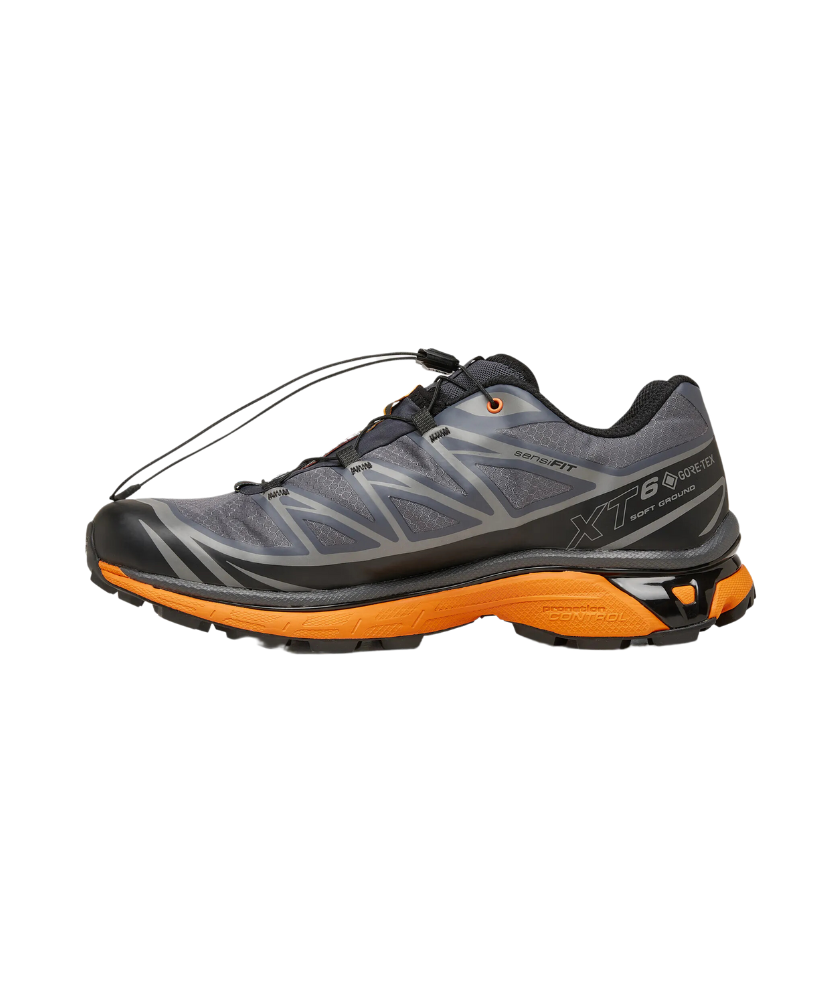 Shoes XT-6 GTX Utility