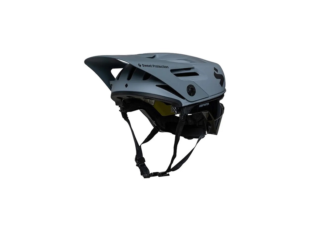 Arbitrator Mips Helmet