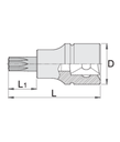 Screwdriver Socket With Tx Profile 1/4&quot; TX 25