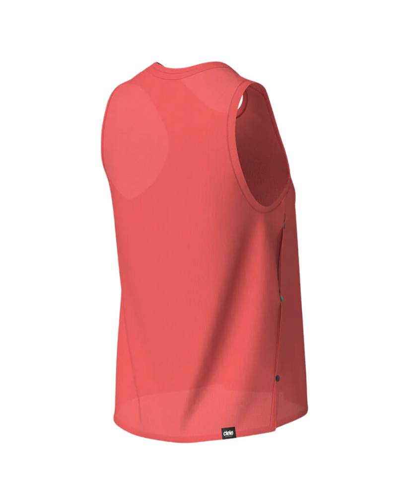 W FSTSinglet