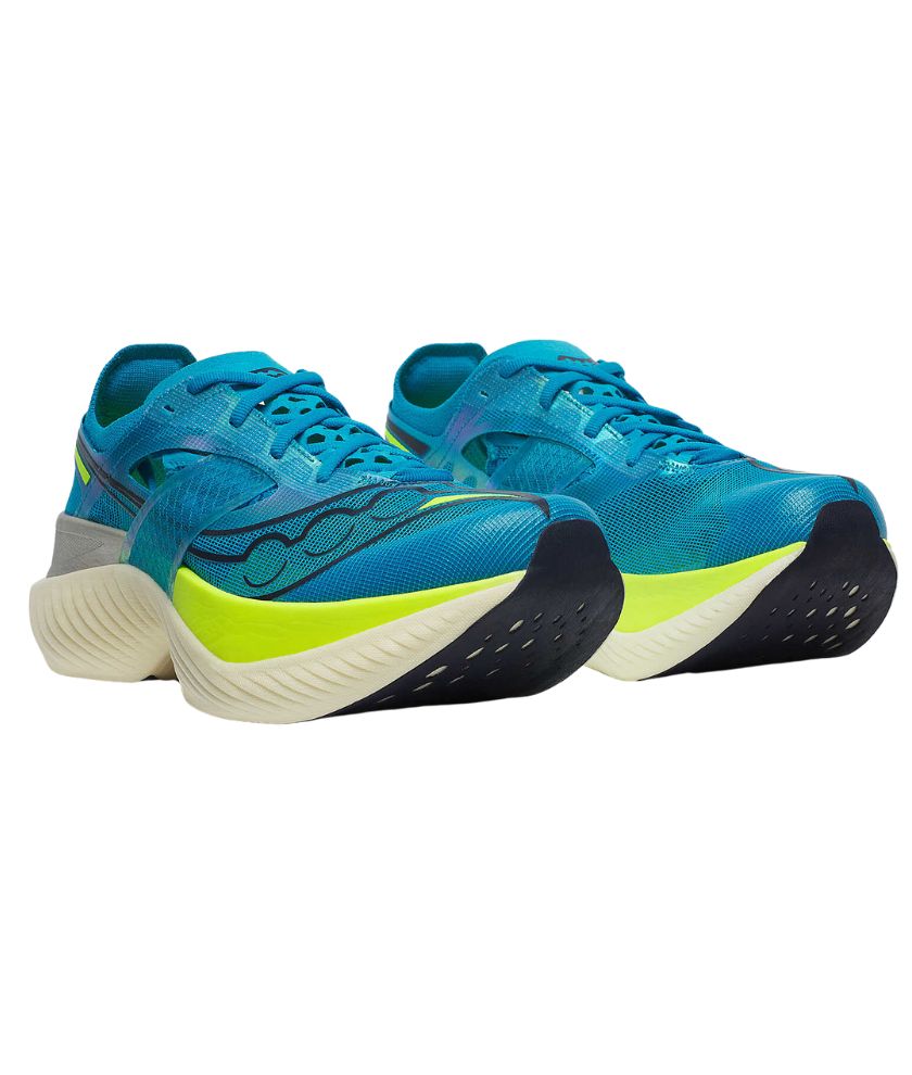 Shoes Endorphin Elite M