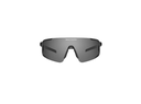 Ronin Polarized Sunglasses (Black Polarized/Matte Black)