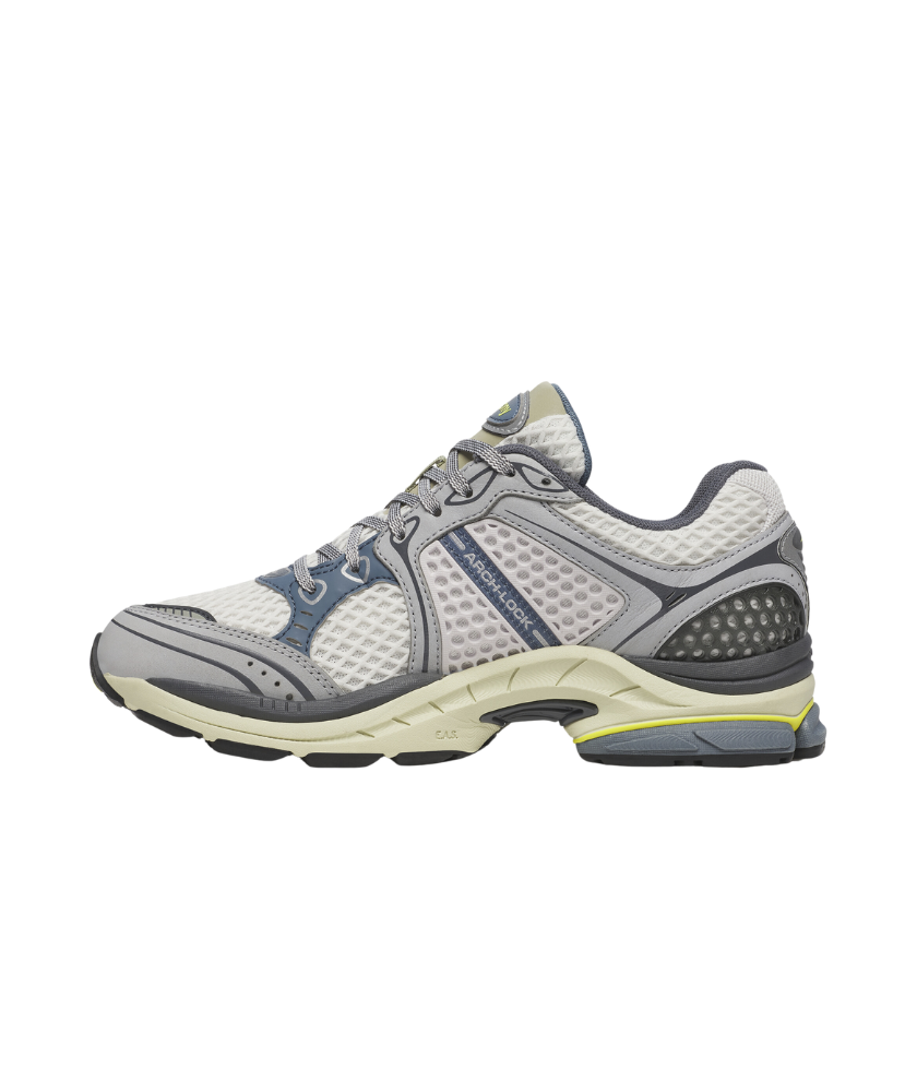 Shoes Progrid Triumph 4