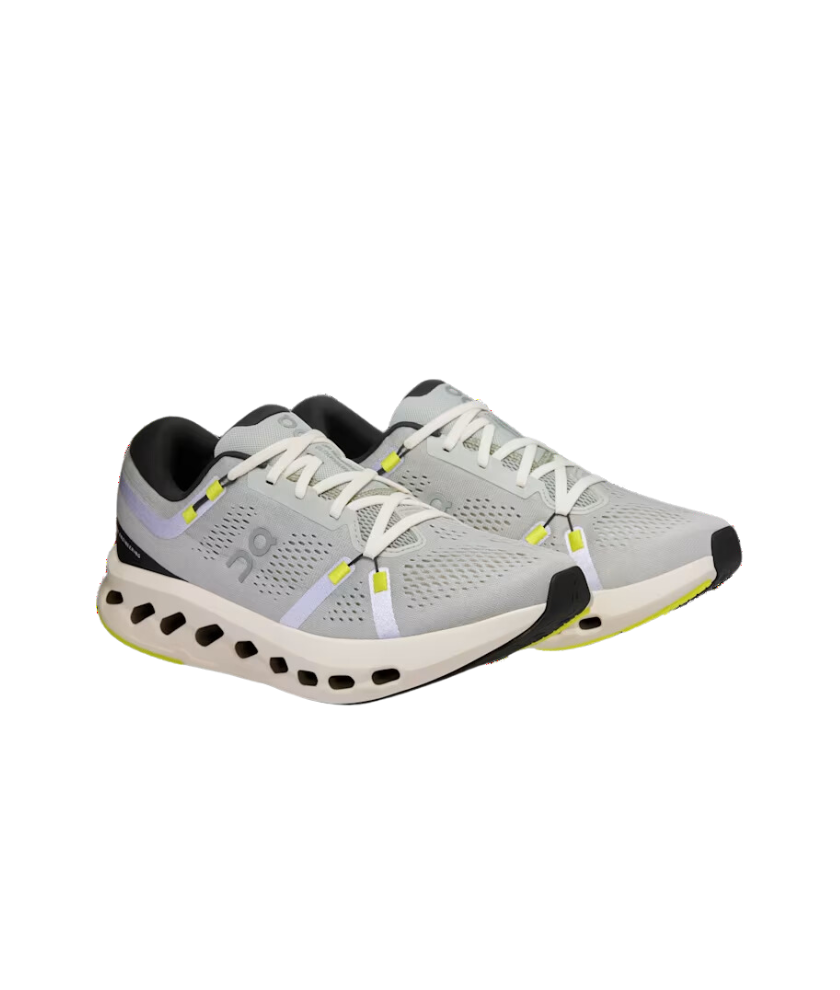 Shoes Cloudsurfer 2 (Men)