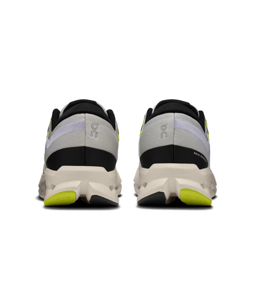 Shoes Cloudsurfer 2 (Men)