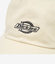 New Essential Dad Cap