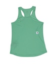 W Reactive Flow Singlet