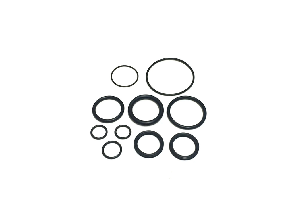 Lefty Ocho Seal Kit 100 Hour