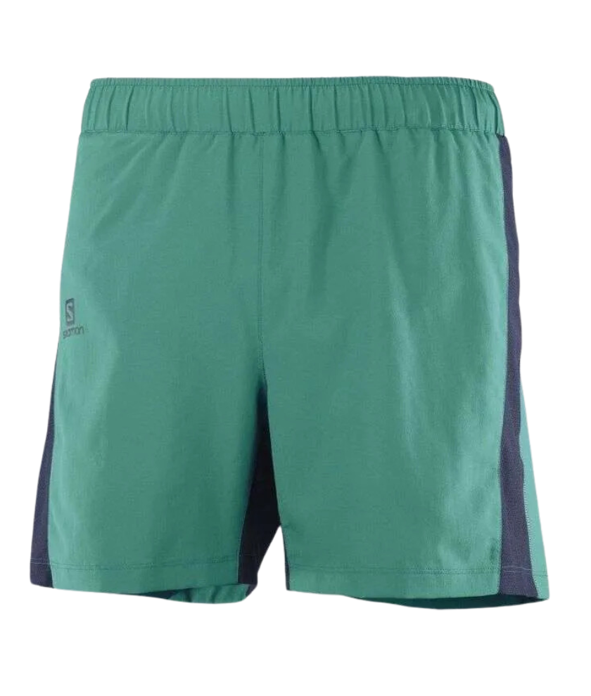 Agile 5 Men's Shorts