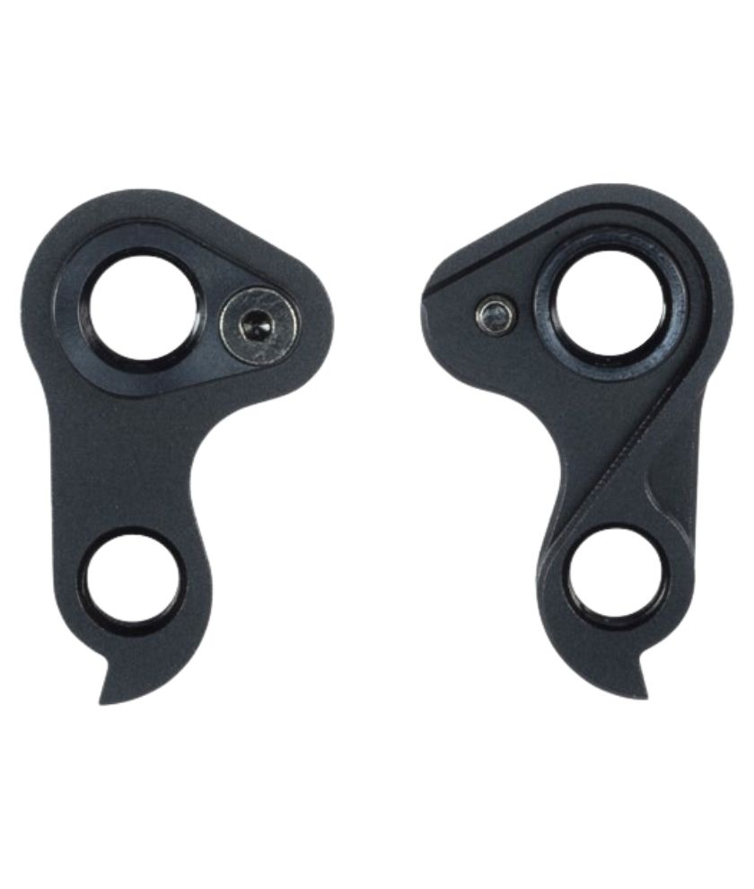 Rear Dropout Hanger Disc For C64, V2R, Cnp, V3Rs