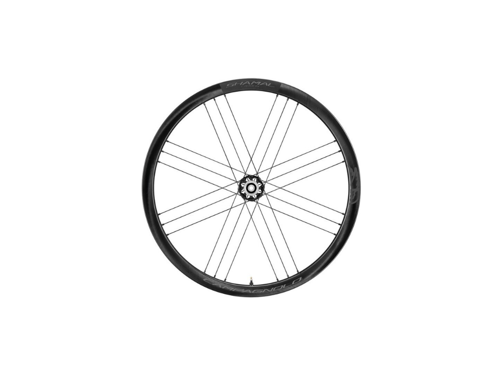 Shamal Carbon C21 DB 2WF F+R HG11 type FW body