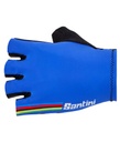 Santini Uci Rainbow Gloves