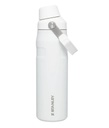 The IceFlow Aerolight Fast Flow Water Bottle 24 OZ