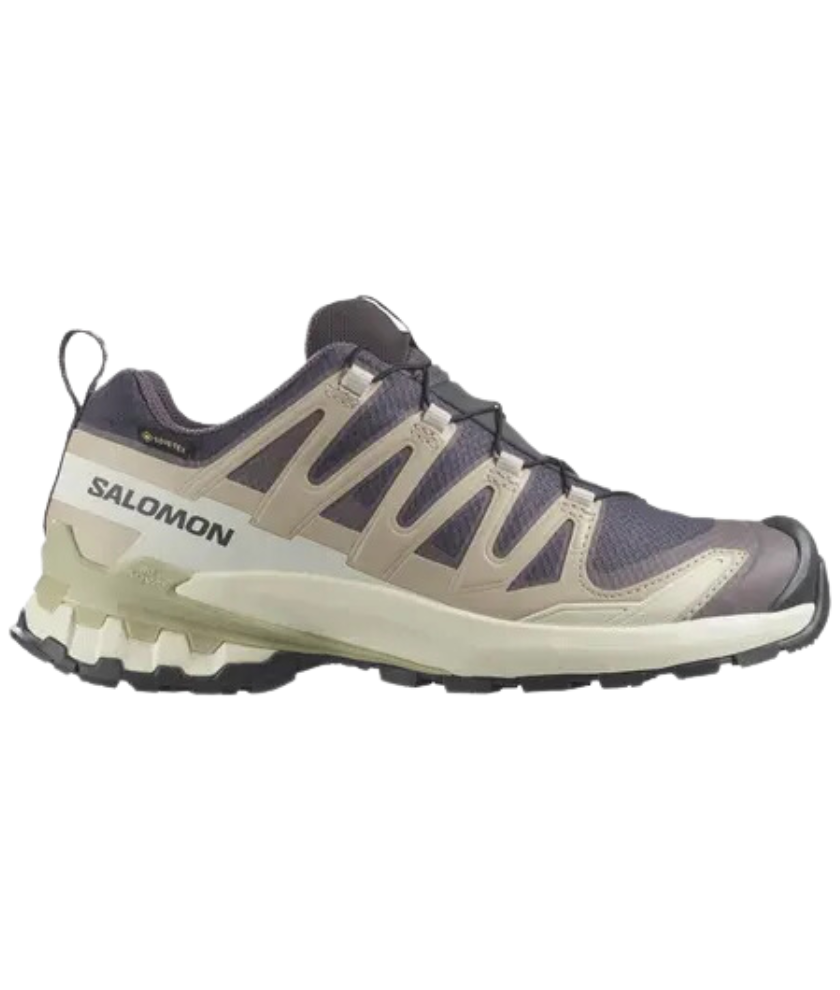 Shoes XA Pro 3D V9 GTX Women