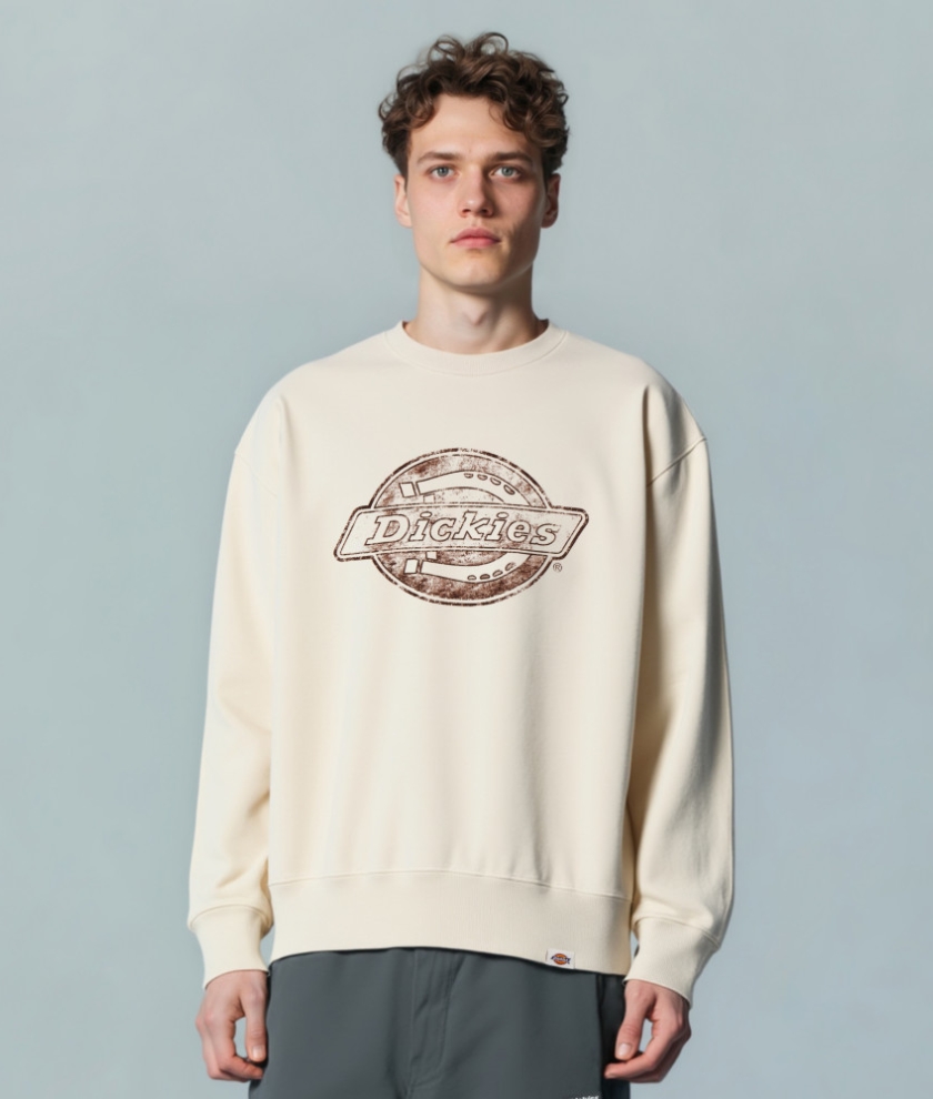  French Terry Print Graphic Crew Neck