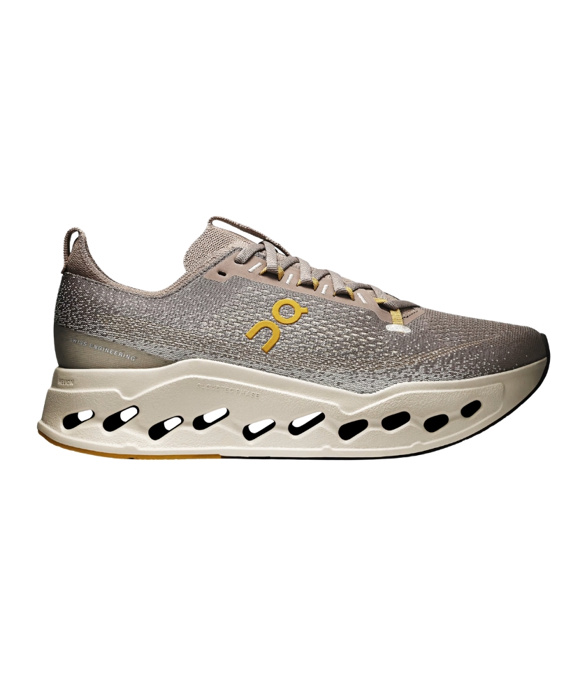 Shoes Cloudsurfer Max Men