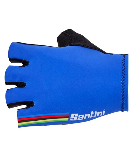 Santini Uci Rainbow Gloves