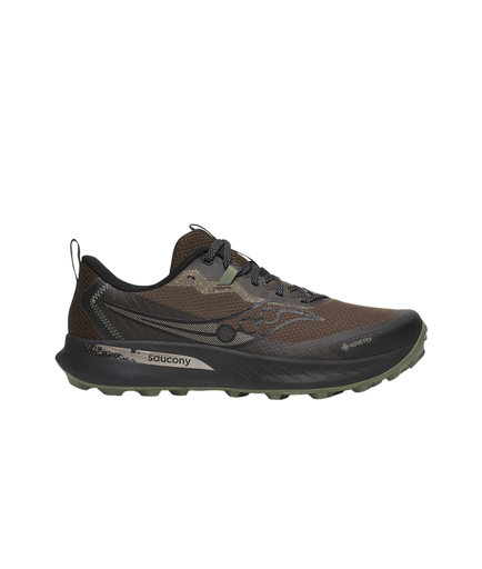 Shoes Peregrine 15 Gtx M