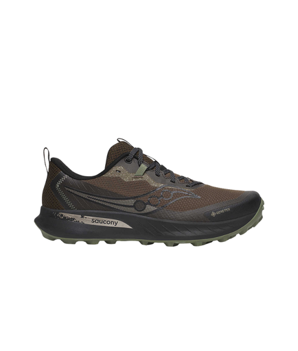 Shoes Peregrine 15 Gtx Men
