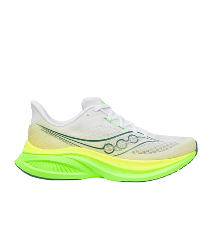 Shoes Endorphin Speed 5