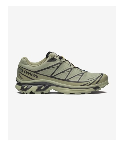 Shoes XT-6 GTX