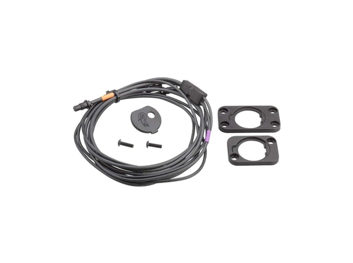 [AC19-CAFEPS] Super Record Eps Frame Mounting Cable For Internal Interface 2020